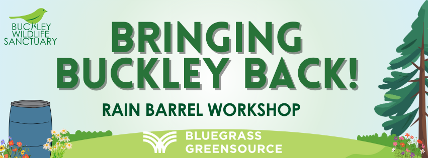 Campaign cover image for Bringing Buckley Back Rain Barrel Workshop