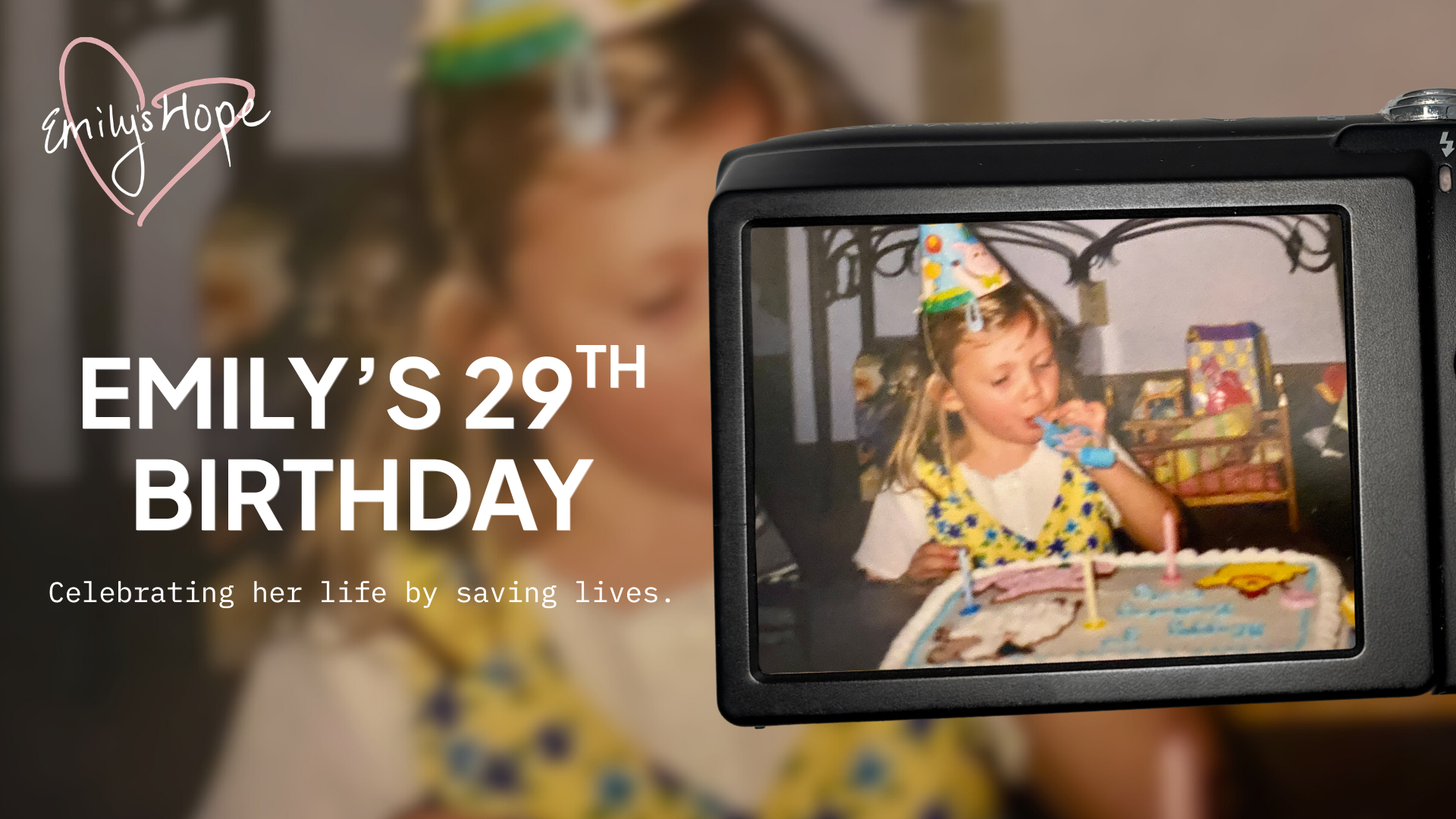 Campaign cover for Emily's 29th Birthday Fundraiser