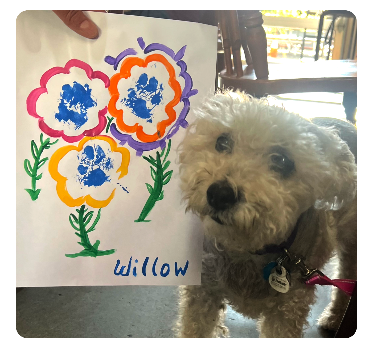 Campaign cover for Activity: Paw Art