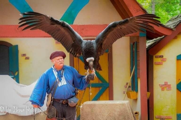 Condor Enclosure
