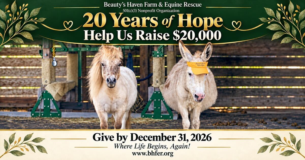 Campaign cover image for 20 Years of Second Chances. One $20,000 Goal.