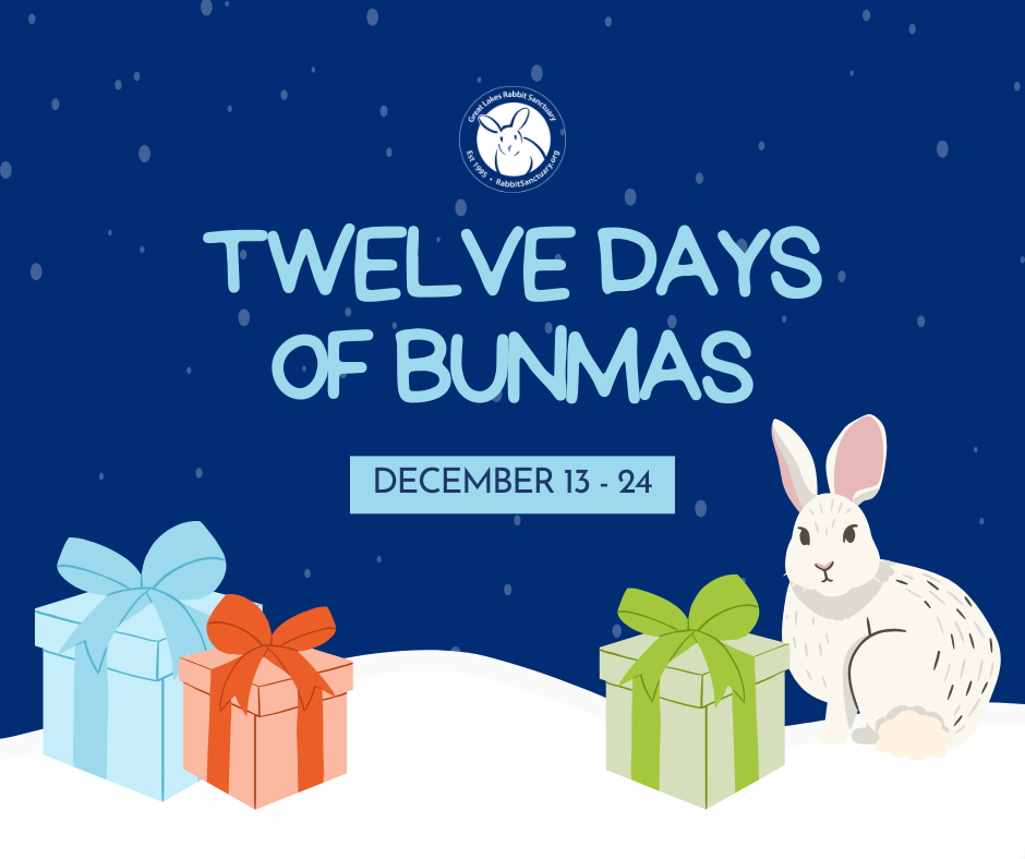 Campaign cover image for GLRS 12 Days of Bunmas 2025