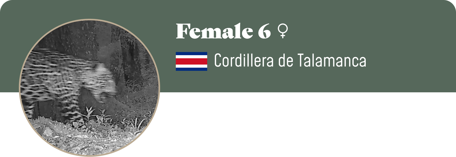 Campaign cover image for Adopt Female 6