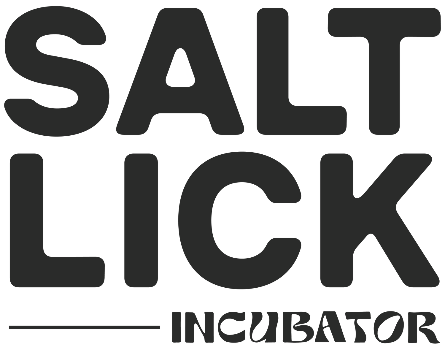 Campaign cover image for Salt lick incubator showcase & foundation music school