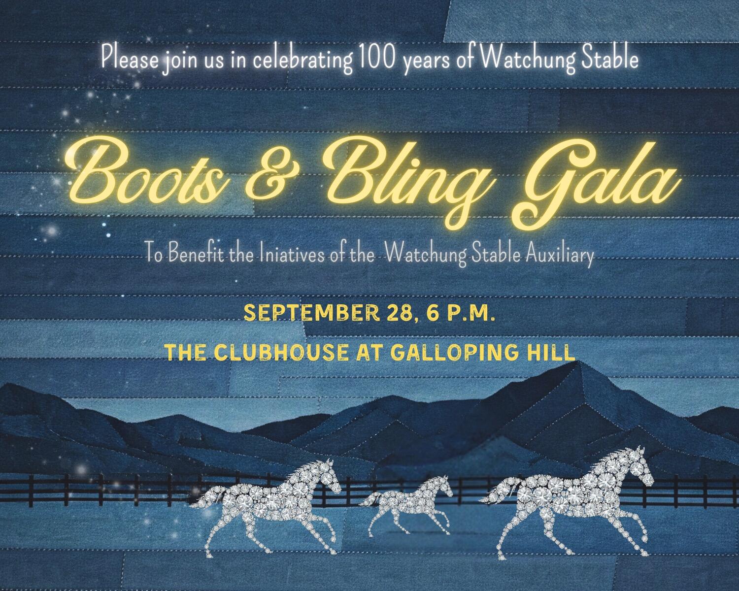 Campaign cover image for Boots & Bling Gala