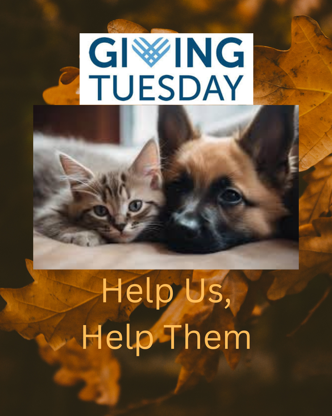 Campaign cover image for Giving Tuesday Dec, 2nd 2025