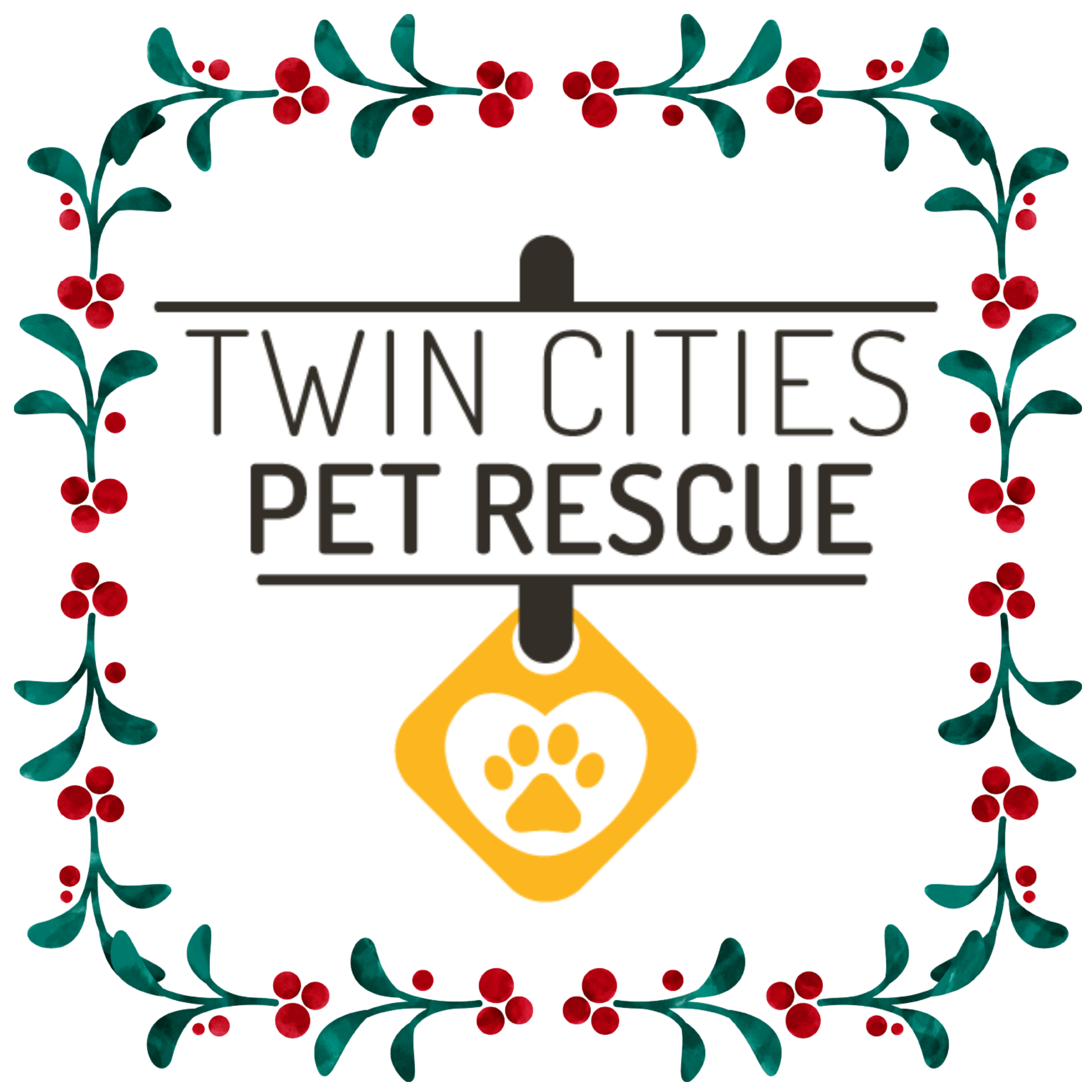 Campaign cover image for 🎄 Holiday Fundraiser: Gift-a-Donation for TCPR