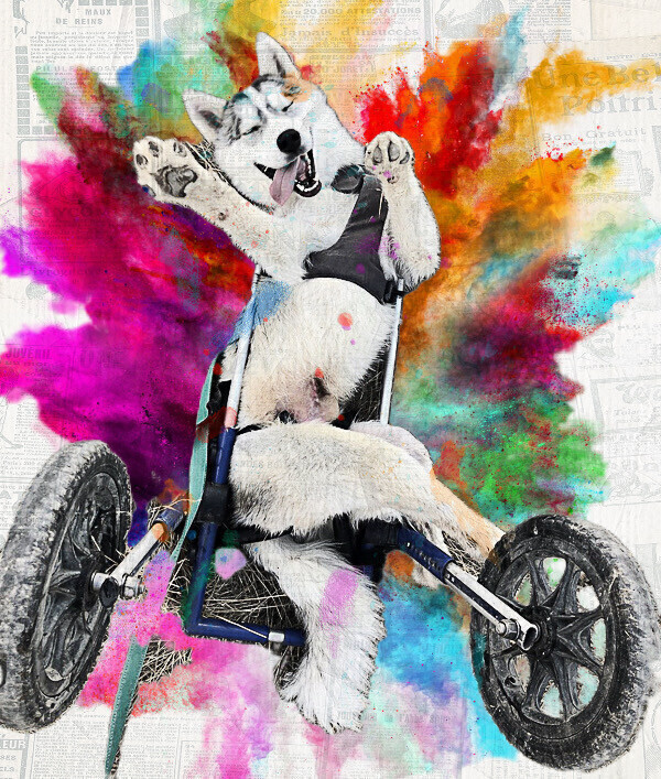 Campaign cover image for Community Grant 2022