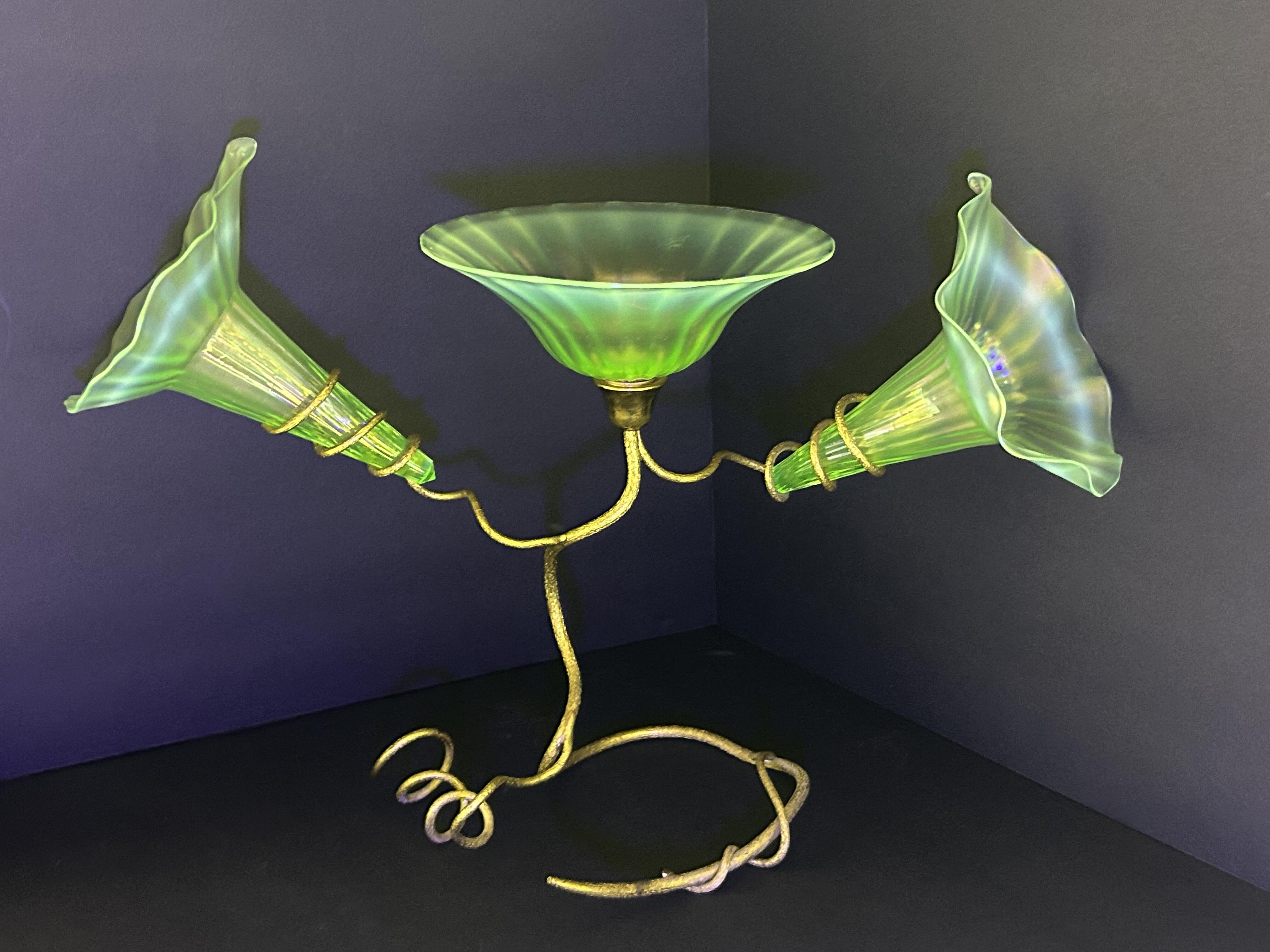 Campaign cover image for Everything Glows!