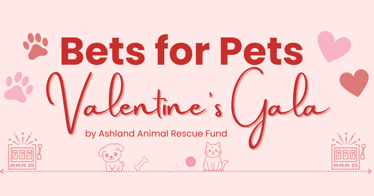 Campaign cover image for Bets for Pets Valentine's Gala