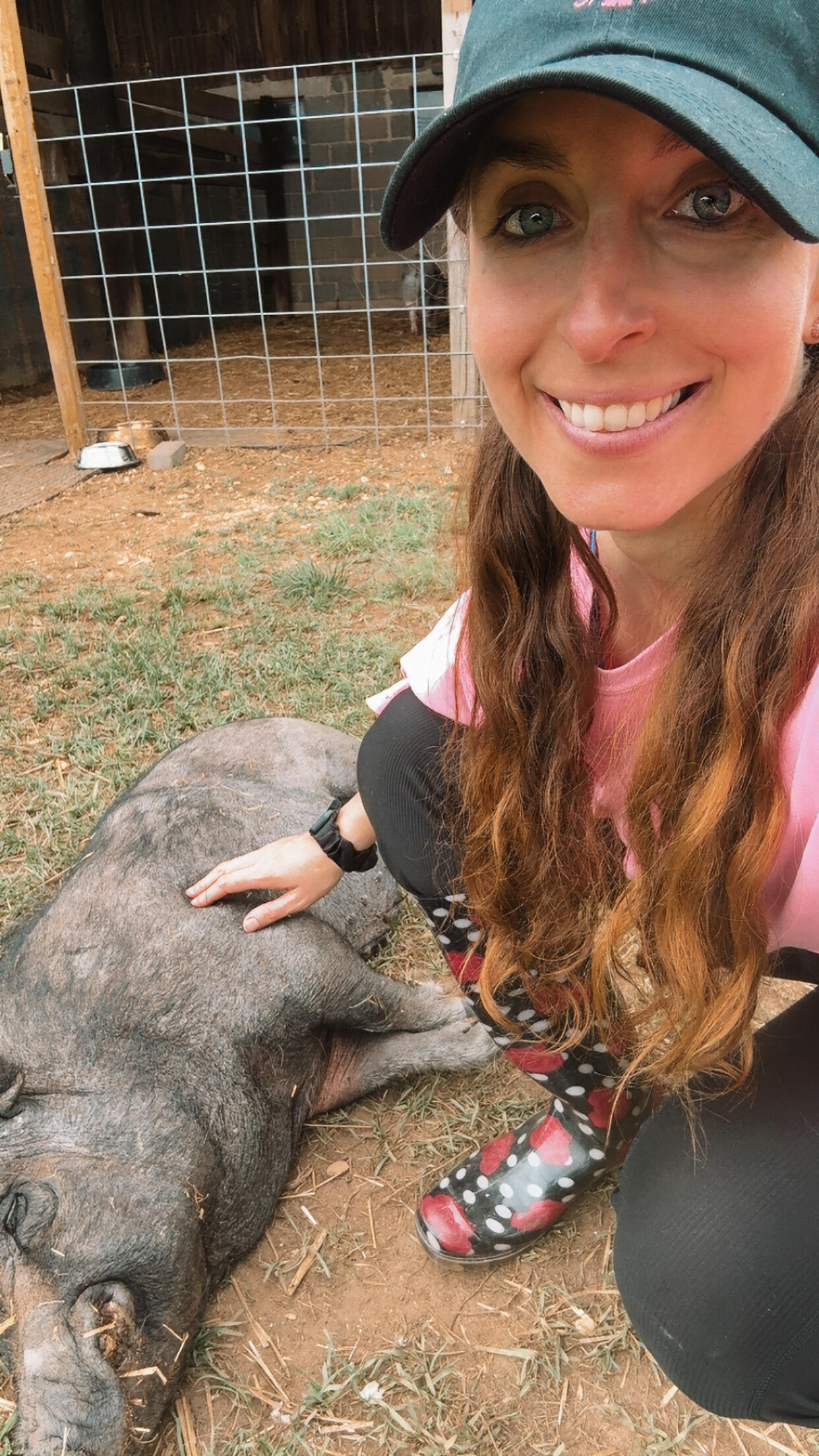 Campaign cover for 🎉🐷 40 Days to 40… Help Me Raise $4,000 for Layla's Rescue Ranch! 🐷🎉