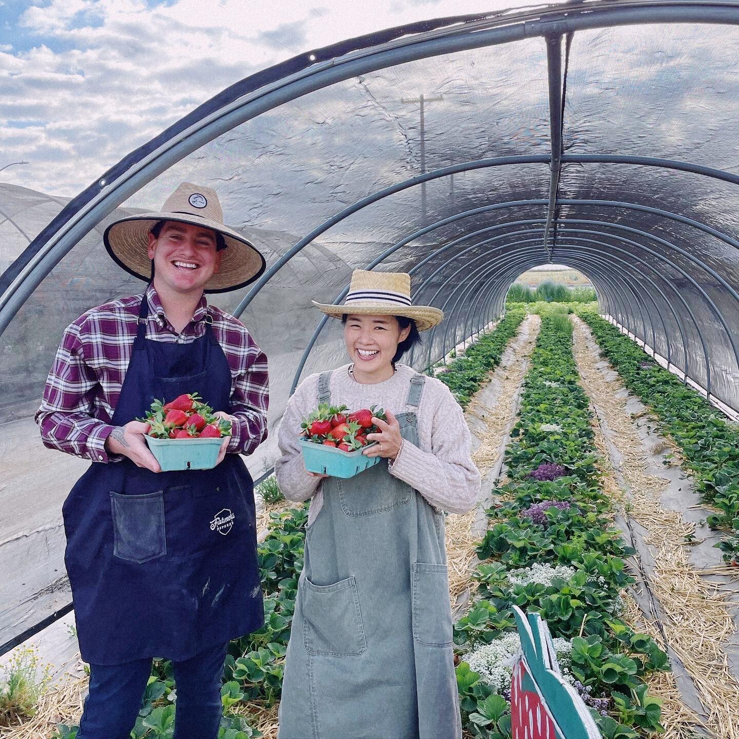 Campaign cover image for Donate to Fortitude