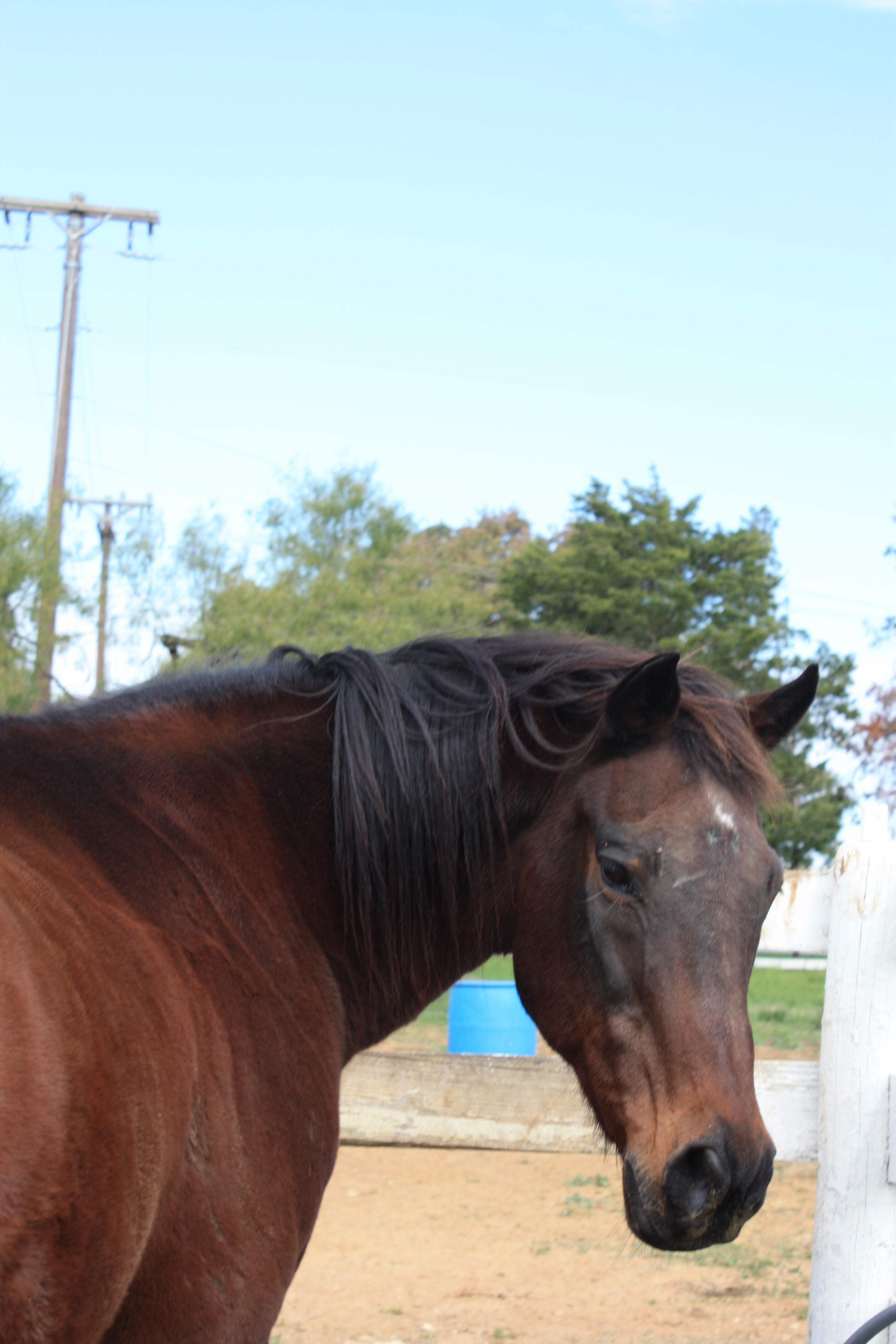 Campaign cover image for Senior Sanctuary Residents Fundraiser