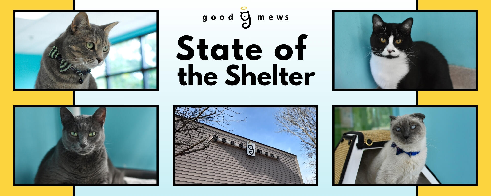 Campaign cover image for State of the Shelter