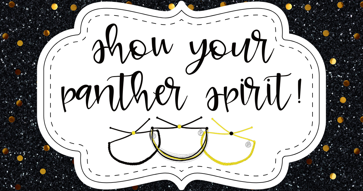 Campaign cover image for PCHS Bracelet Sale