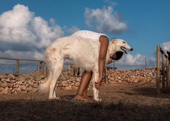 Campaign cover image for AZI Holiday Fundraising 2025