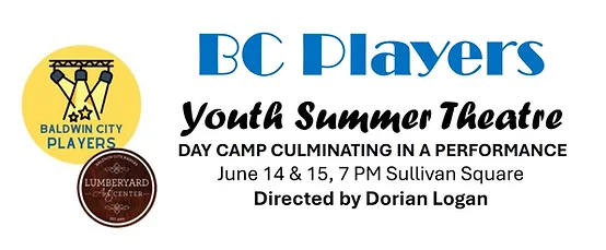 Campaign cover image for Summer Youth Theatre