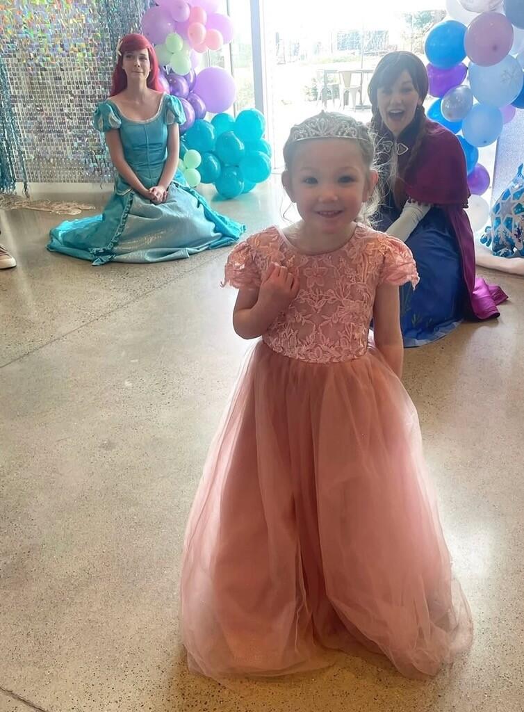 Campaign cover image for Princess Dance Party