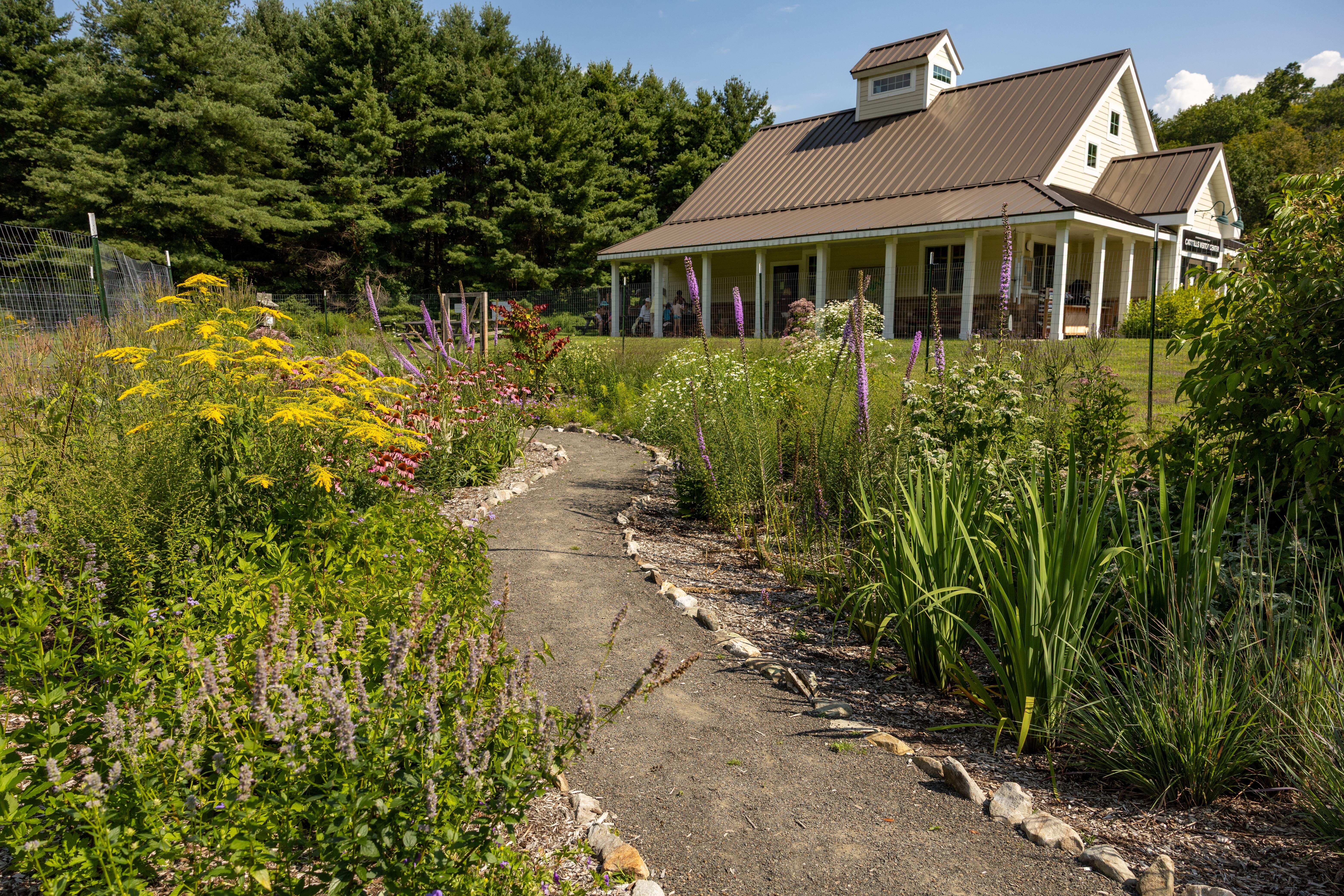Campaign cover image for Living Patterns: An Intro to Ecological Landscape Design