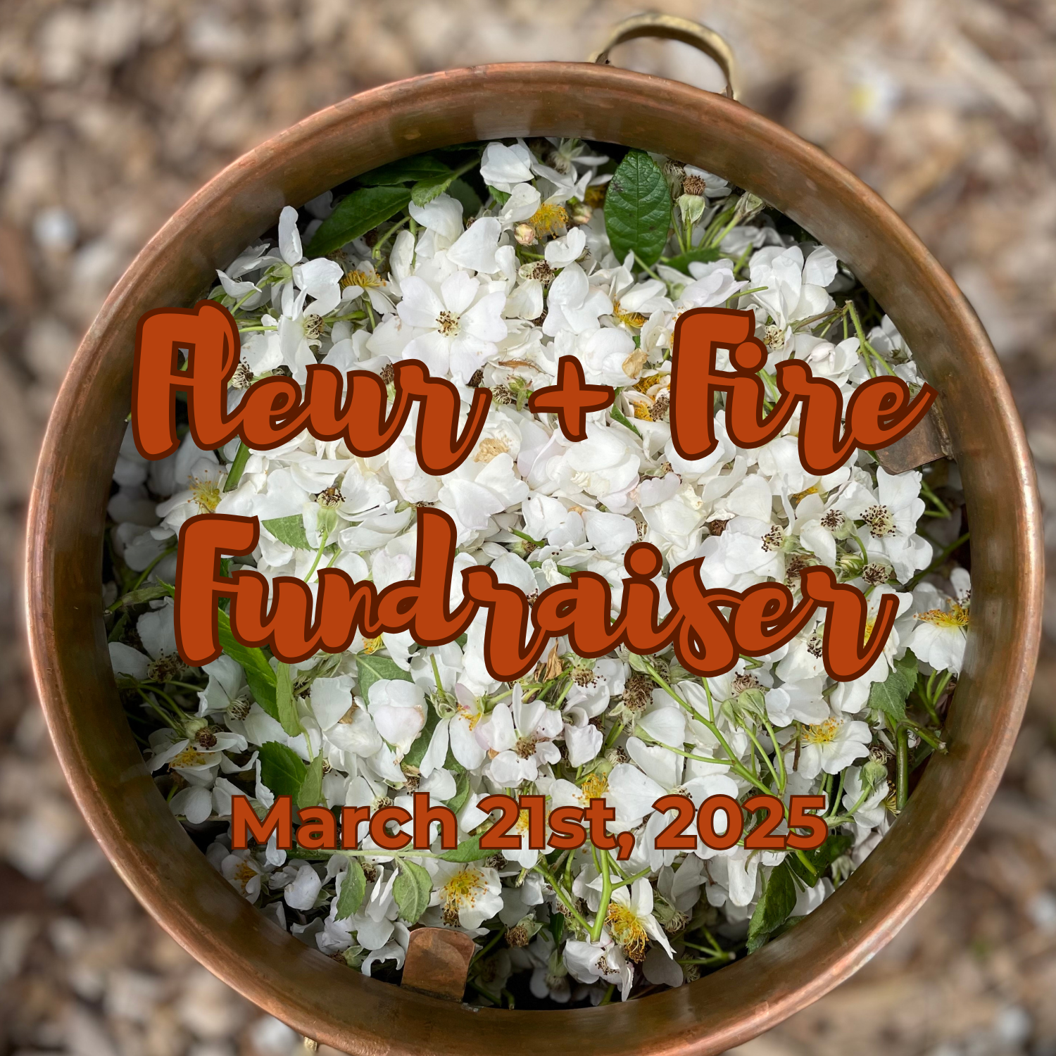 Campaign cover image for Fleur + Fire Fundraiser