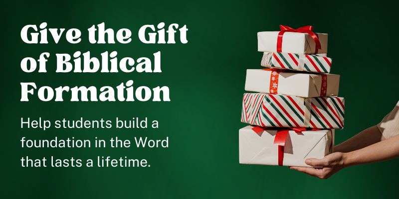 Campaign cover image for CCBC End of Year Campaign