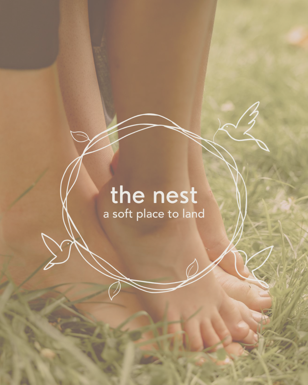 Campaign cover image for The Nest of Pennsylvania