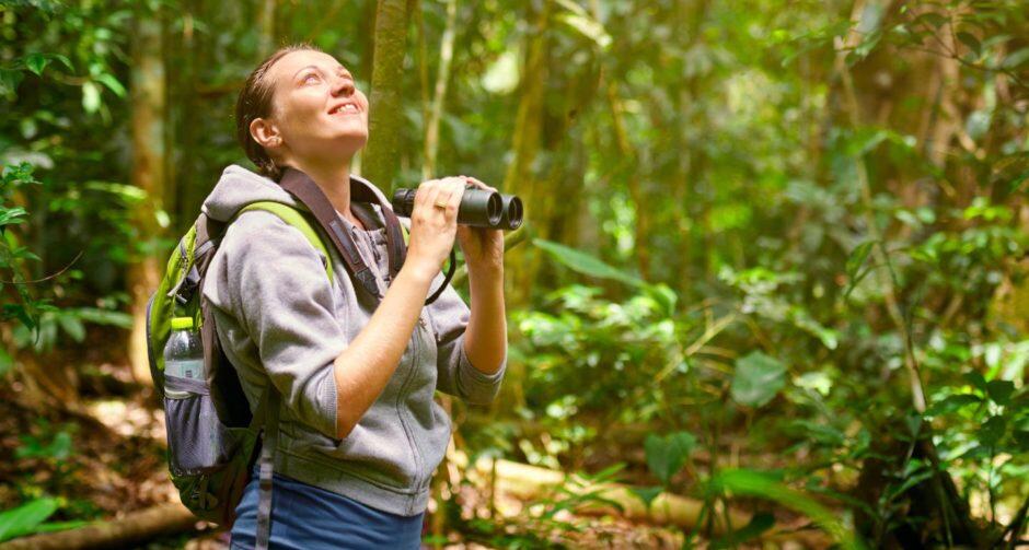 Campaign cover image for Beginner Birdwatching at Lost Canyon Ranch Open Space