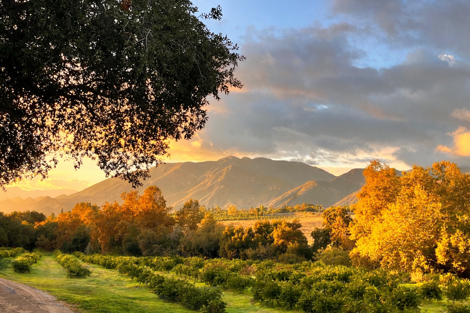 Campaign cover image for Legacy Giving