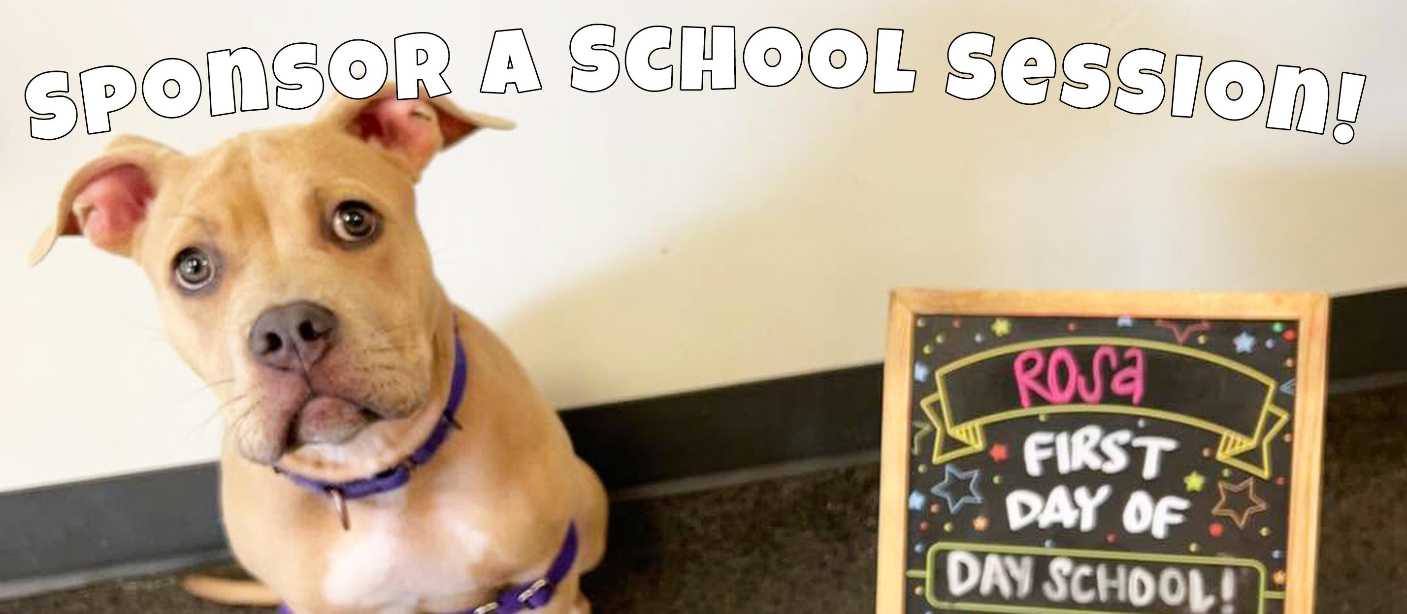 Campaign cover image for Sponsor a School Session for a Shelter Pup!