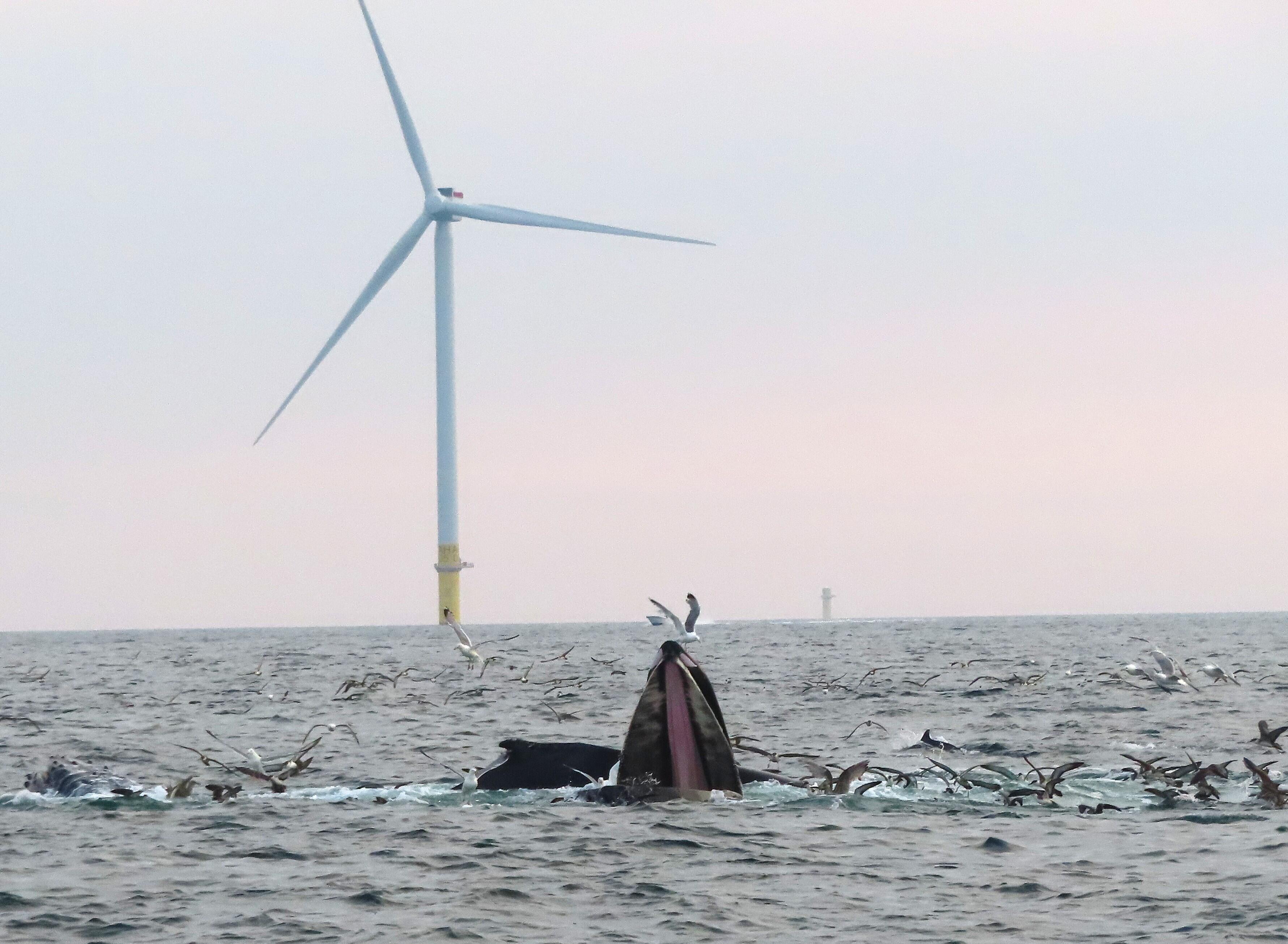 Campaign cover image for Support our Work