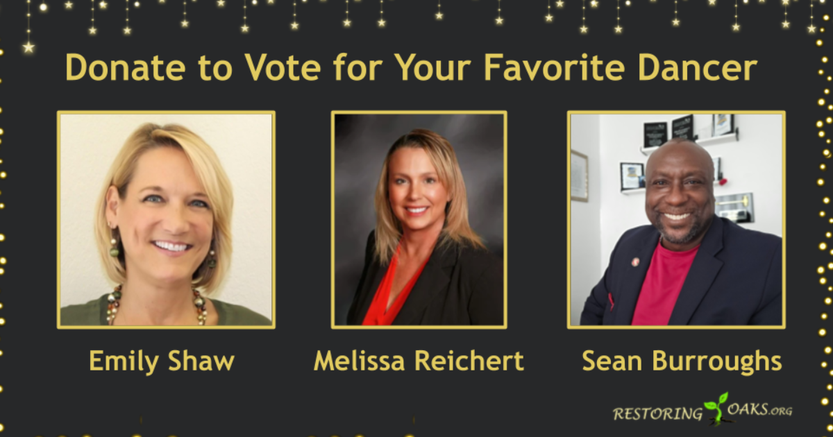 Campaign cover image for Donate to Vote for Your Favorite Dancer