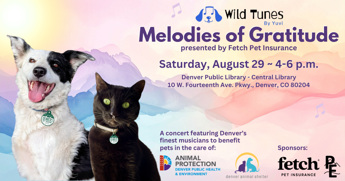 Campaign cover image for Melodies of Gratitude IV