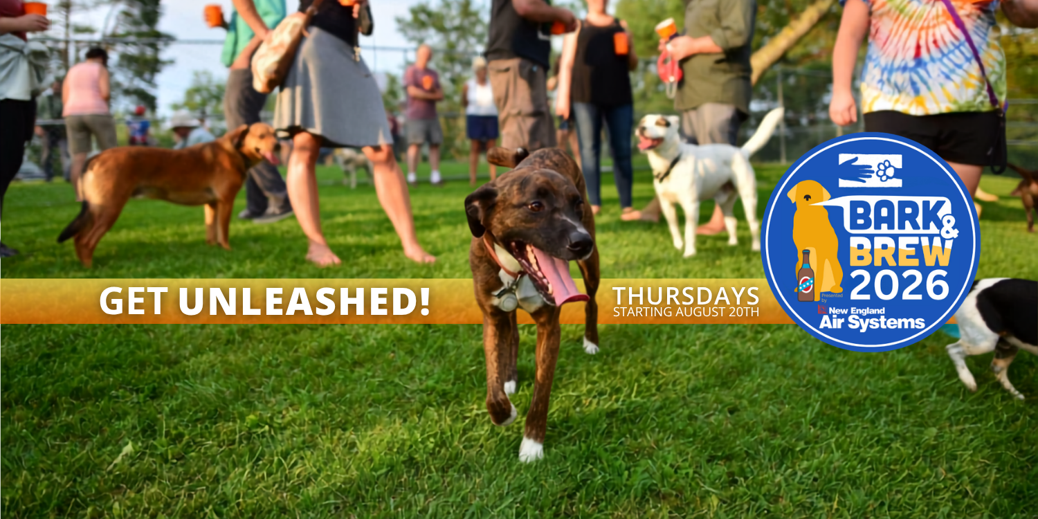 Campaign cover image for Bark & Brew 2026