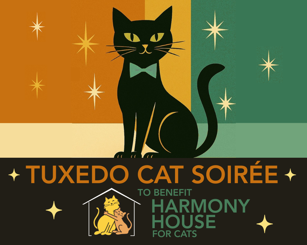 Campaign cover image for Tuxedo Cat Soiree 2026