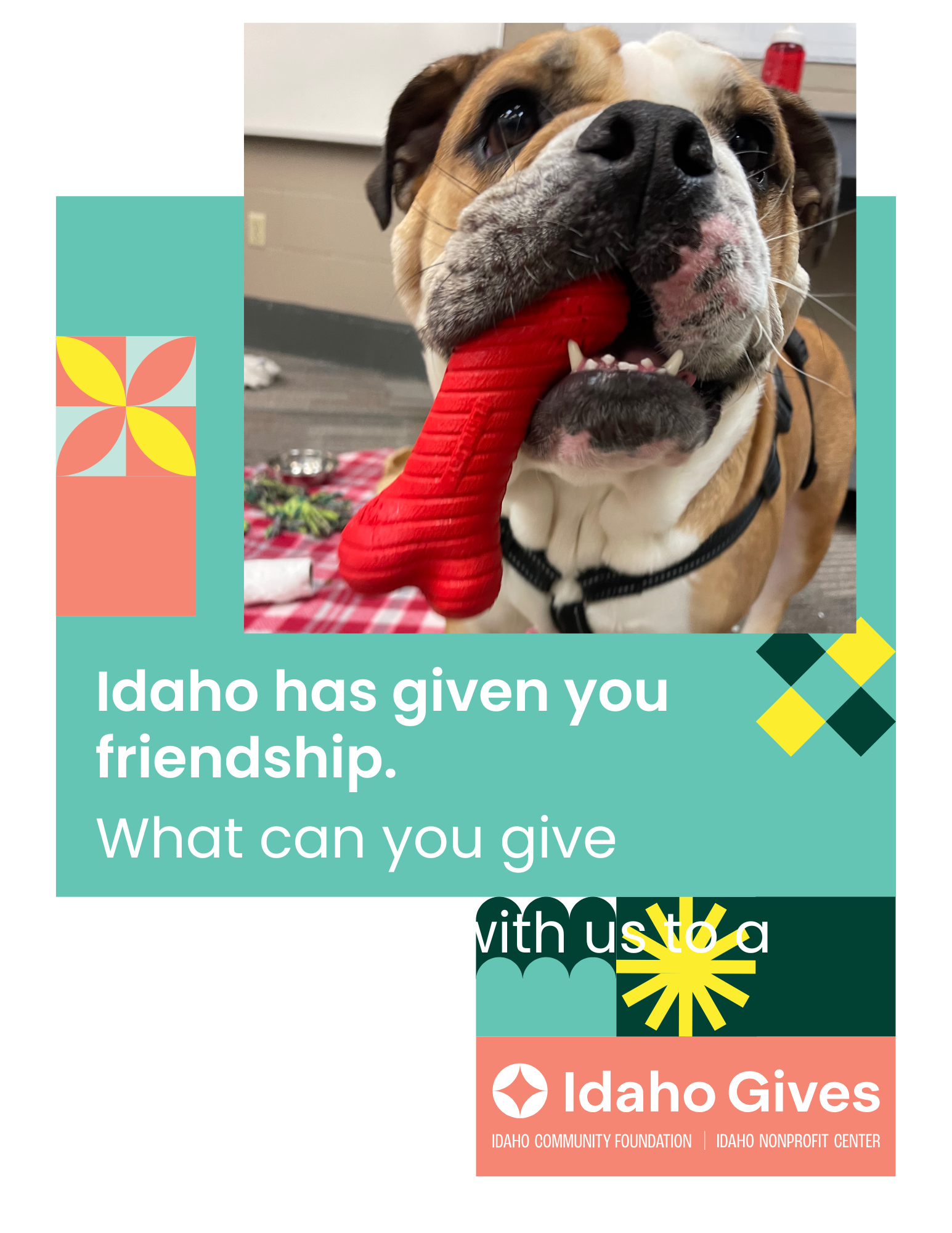 Campaign cover image for Idaho Gives kickoff party April 28th