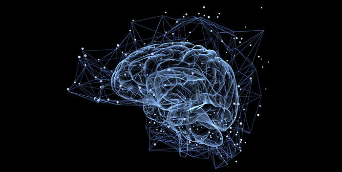 Campaign cover image for 2025 Epilepsy Foundation New Jersey Brunch 4 Brains