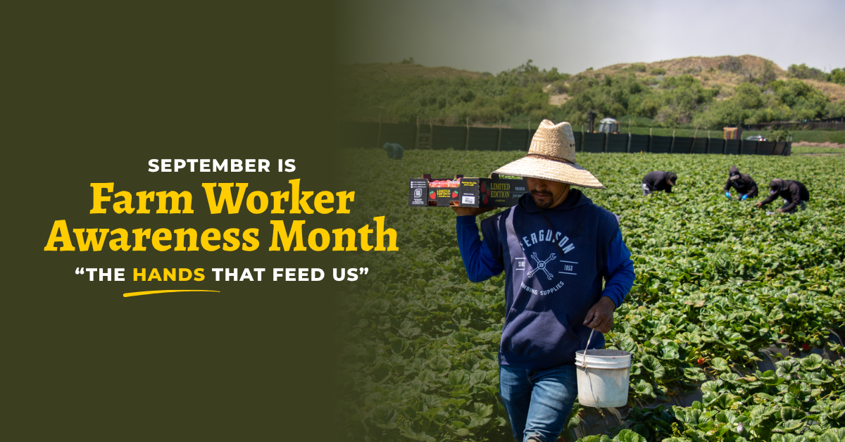 Campaign cover for Farm workers are the hands that feed us.