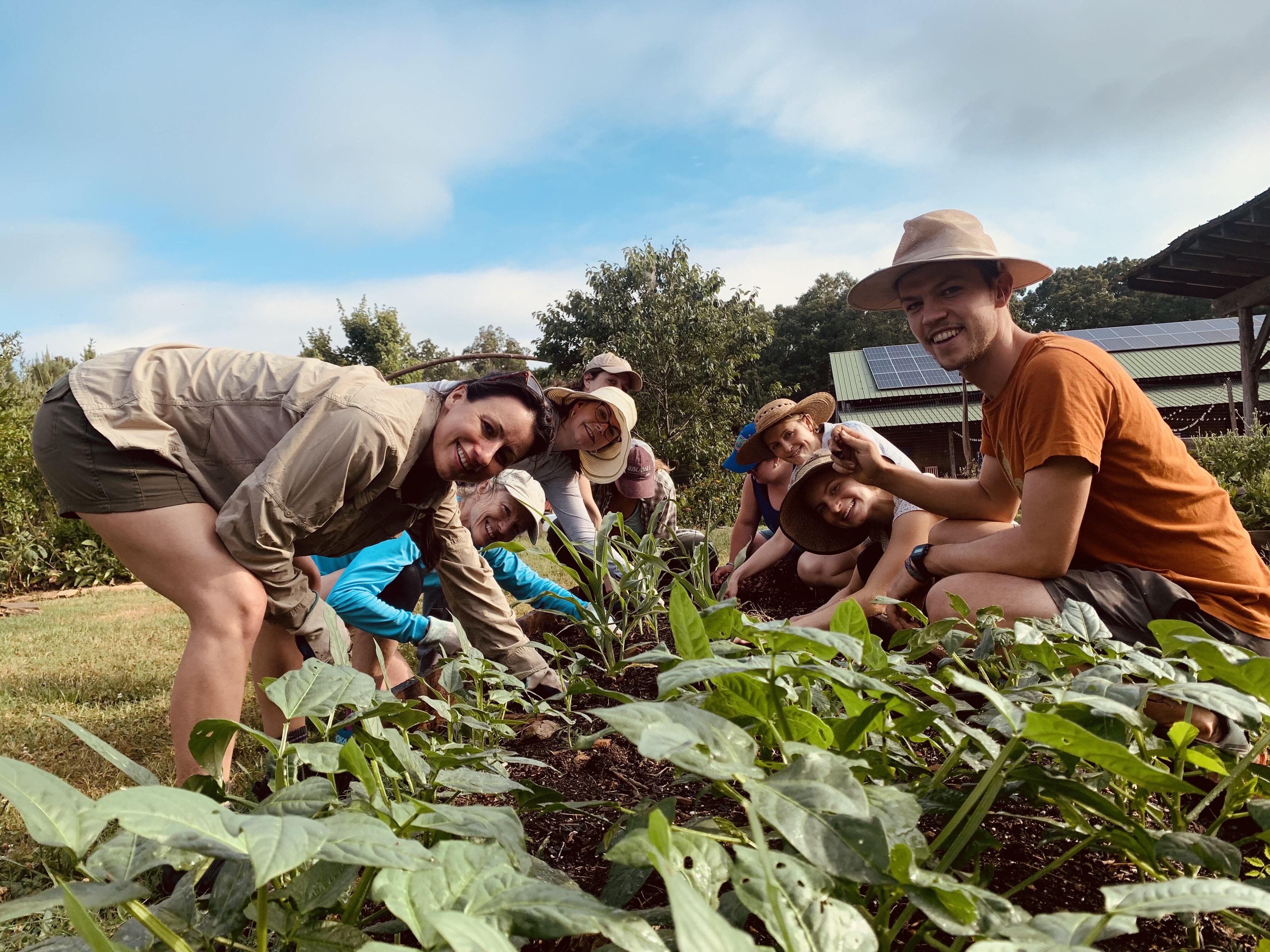 Campaign cover image for 2025 Fall Garden Co-op