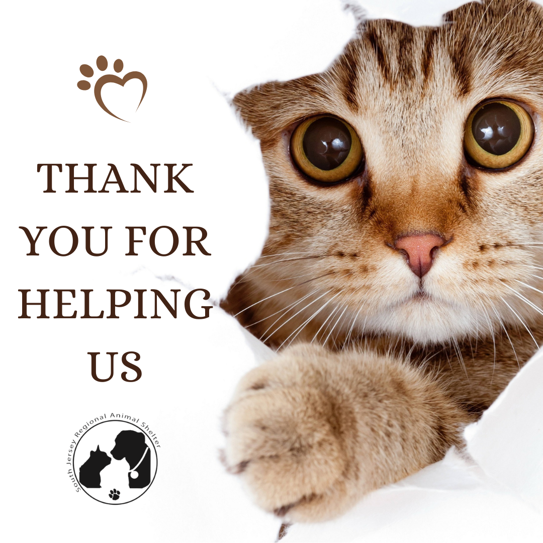 Campaign cover image for Urgent Help Needed - SJRAS