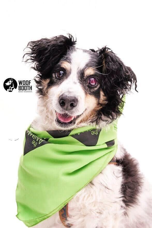 Campaign cover image for Help Us Save Milton, Again.