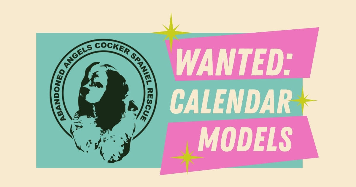 Campaign cover image for AACSR's 2027 Cocker Calendar Celebration