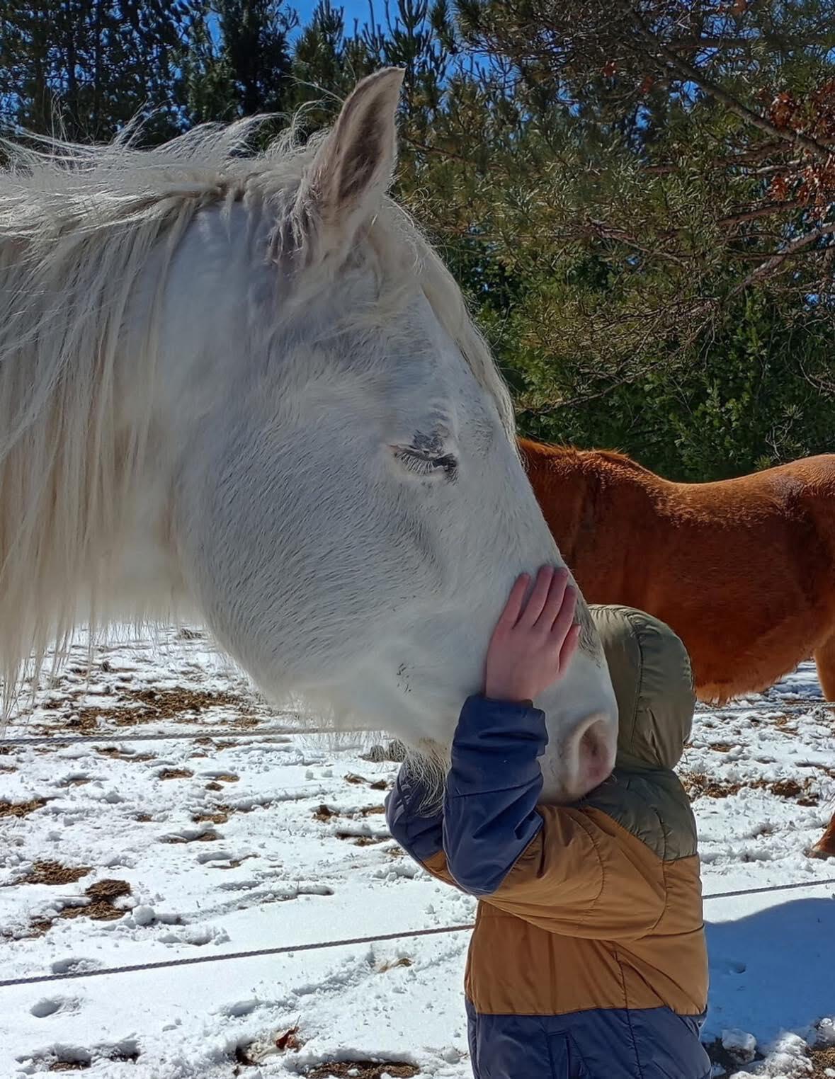 Campaign cover image for Clancy Memorial Fundraiser