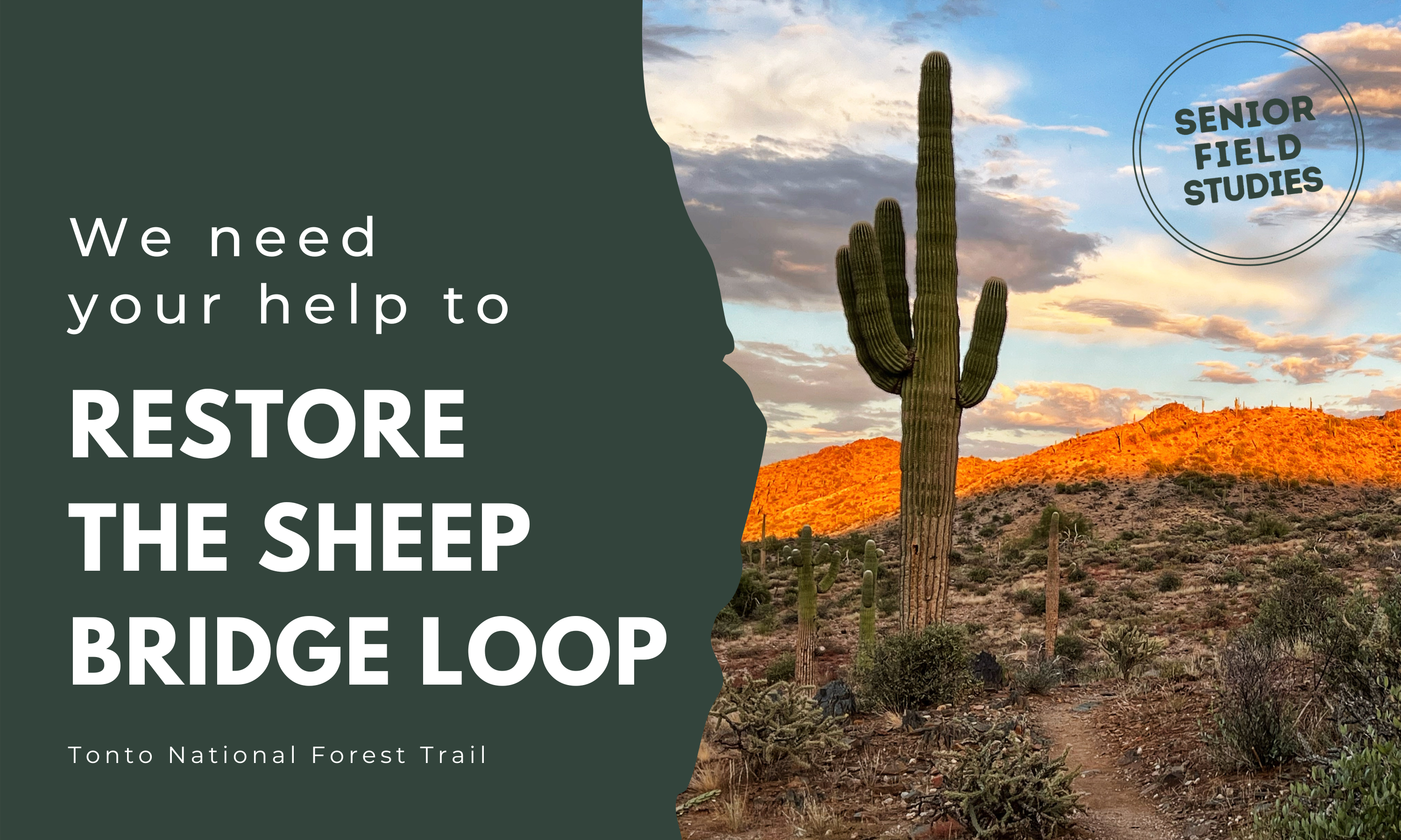 Campaign cover image for Help Preserve the Sheep Bridge Loop