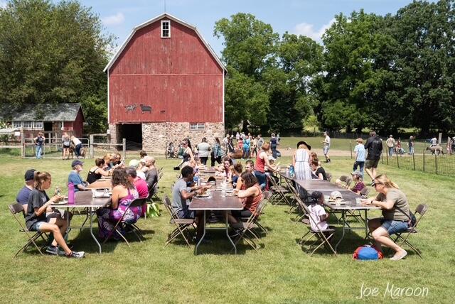 Campaign cover image for SASHA Farm's 2025 Humane Fair