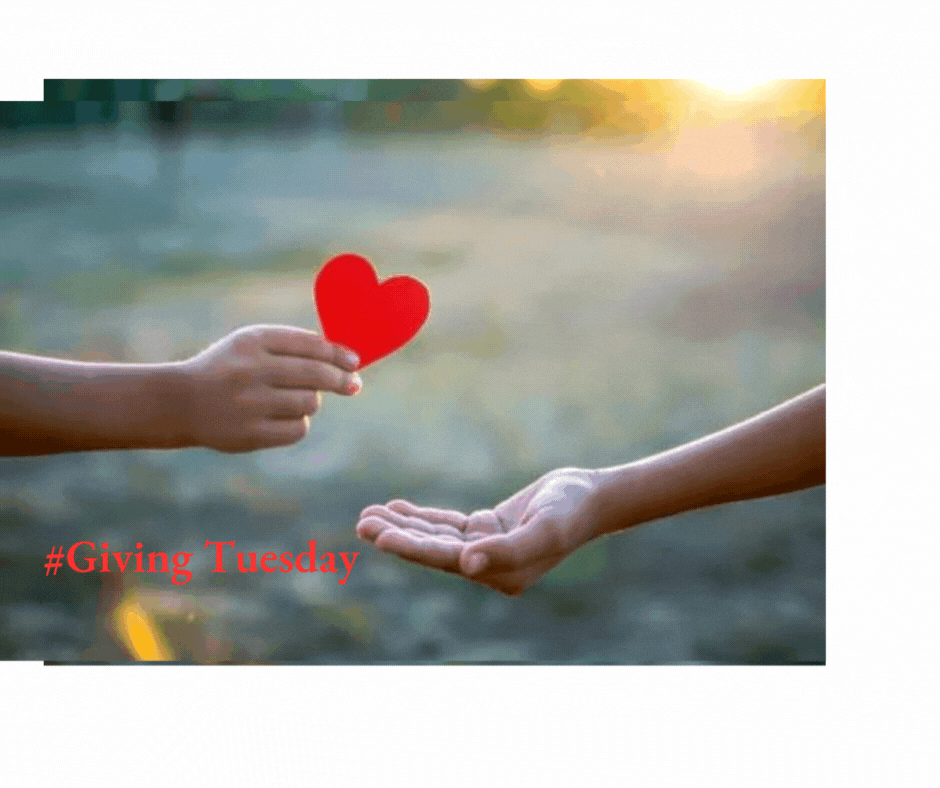 Programs for people 2023 giving tuesday