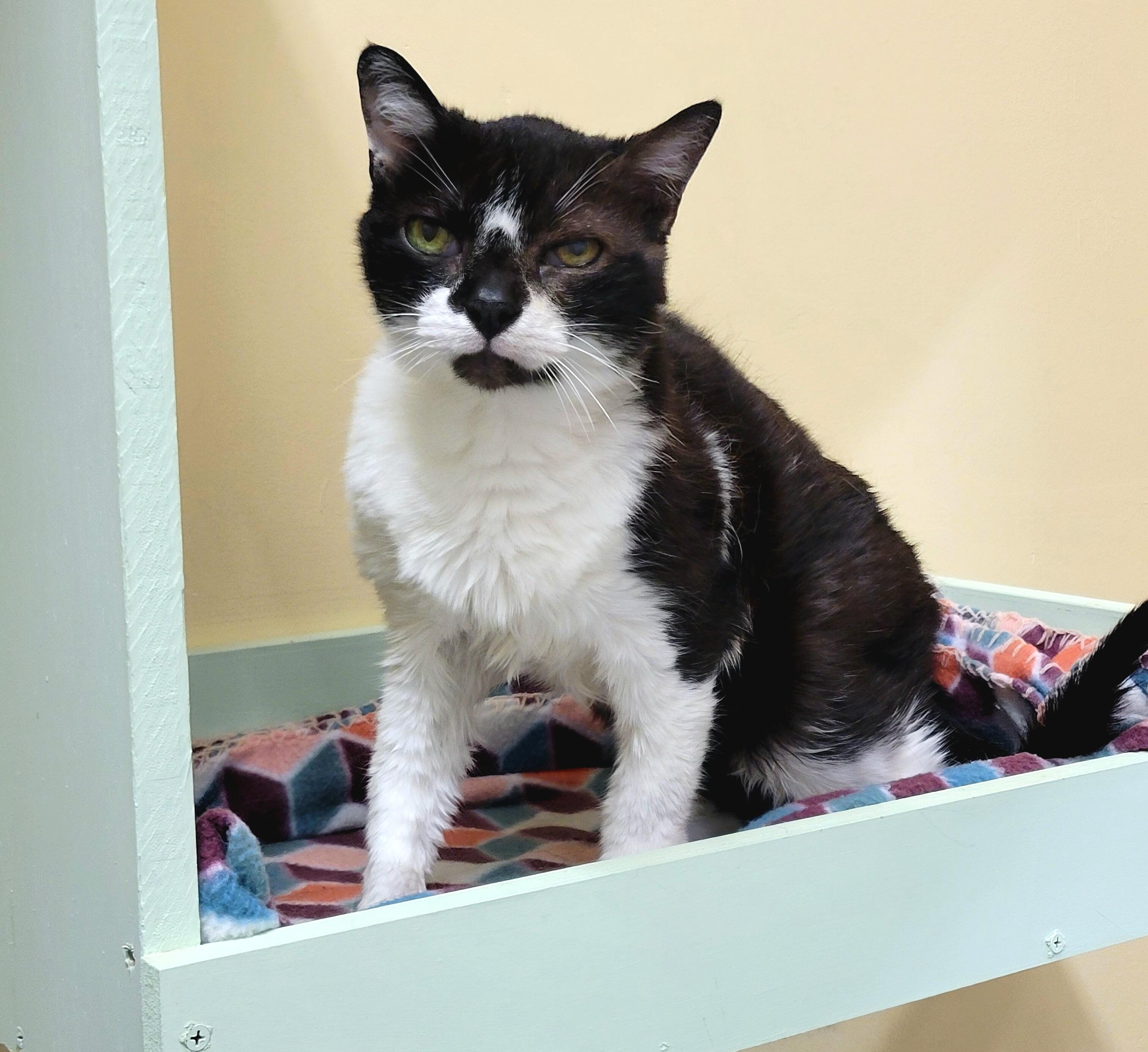 Campaign cover image for $5 Friday ~June 6, 2025