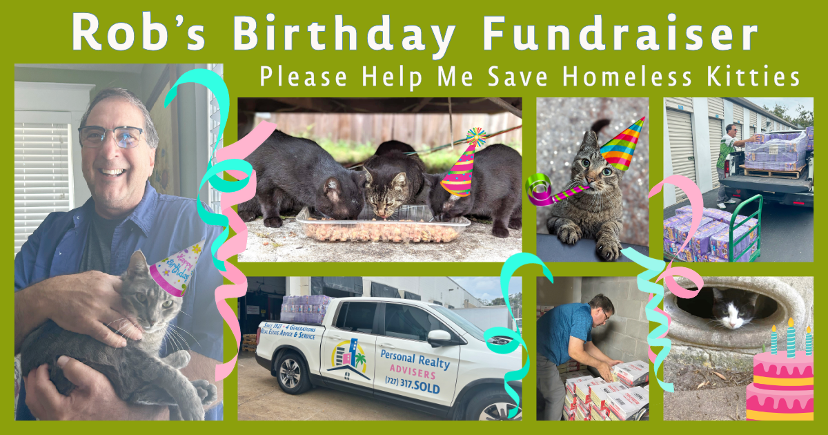 Campaign cover image for Rob's Birthday Fundraiser