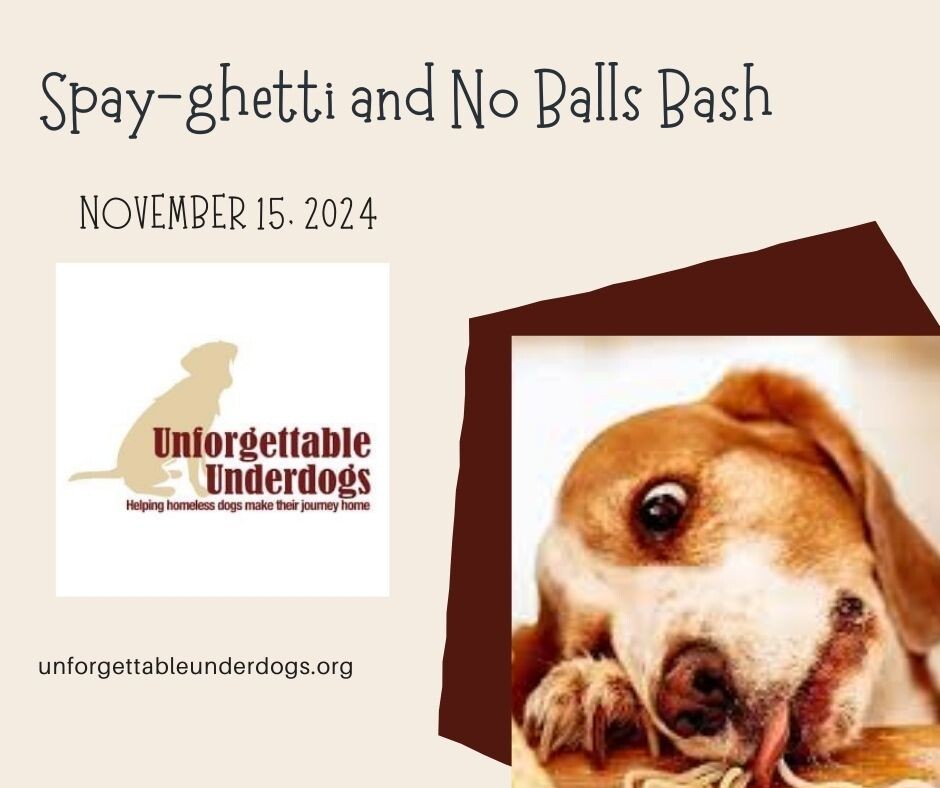 Campaign cover image for Spay-ghetti and No Balls Bash