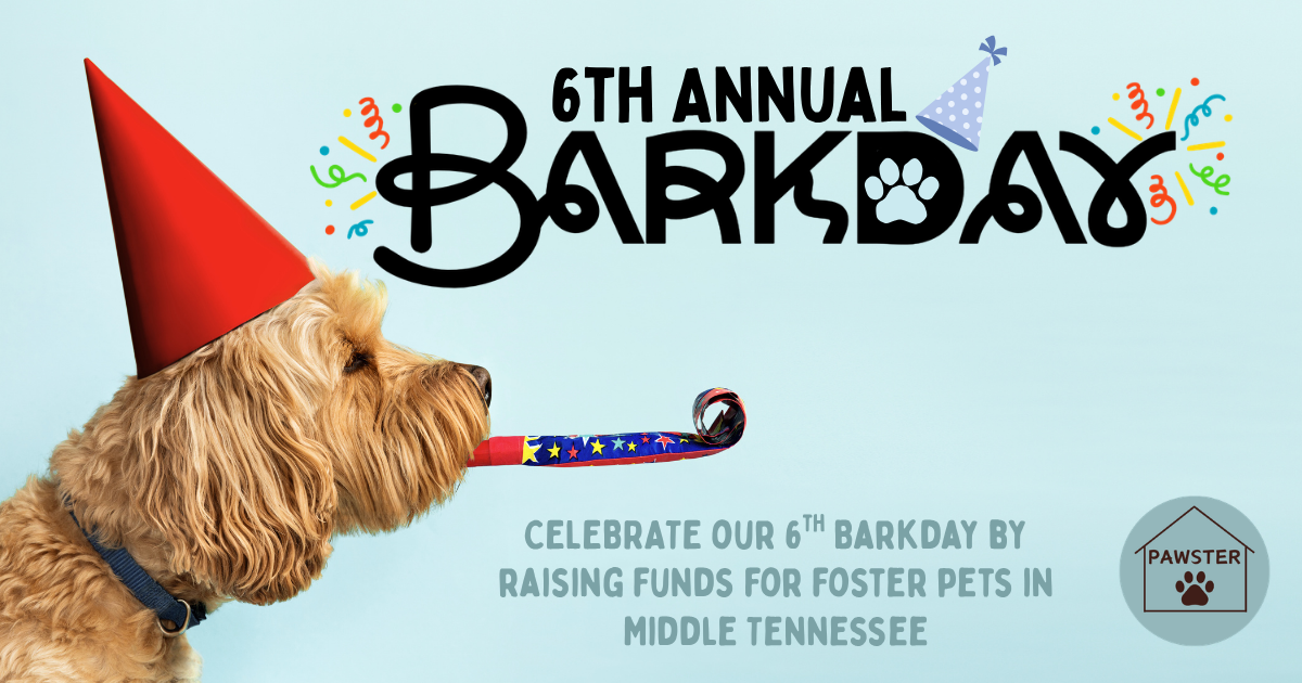 Campaign cover image for Pawster's 6th Barkday