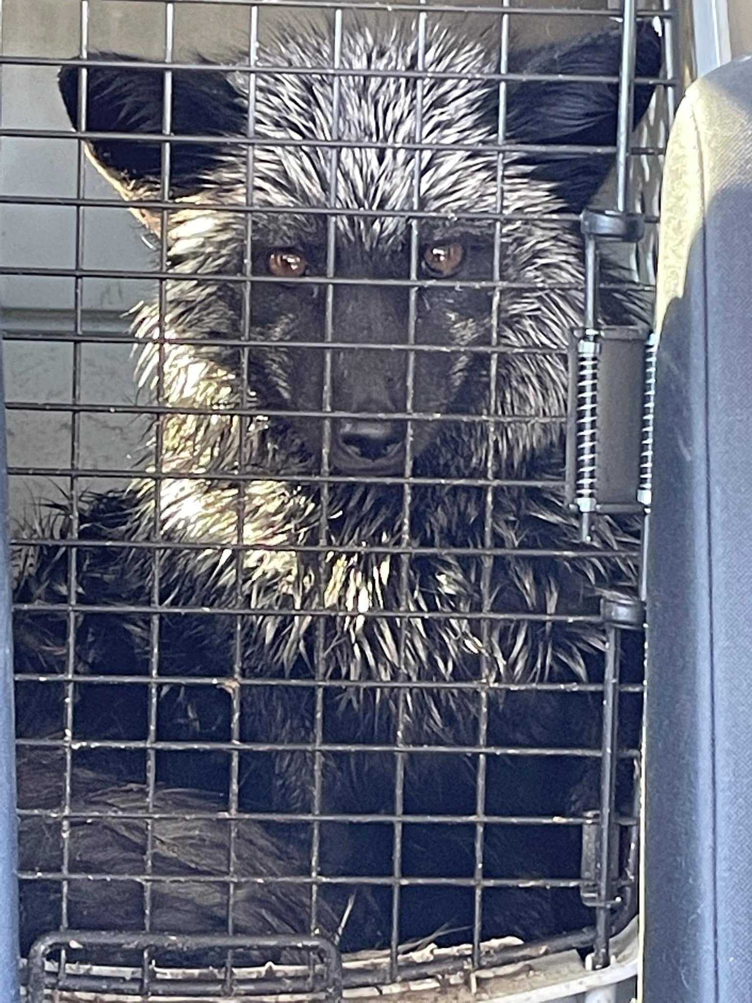 Campaign cover for Giving Tuesday 2025